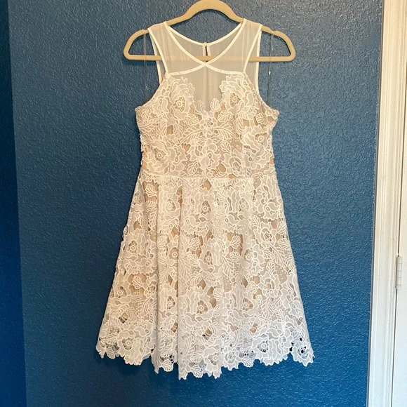 sasha lace dress The Sasha Dress main image 0